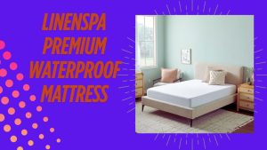 4 Inch Memory Foam Mattress Cover 