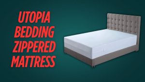 Mattress Cover Plastic Zipper