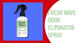 Natural Air Car Freshener