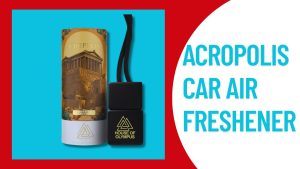 Natural Air Car Freshener