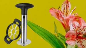 pineapple cutting tools