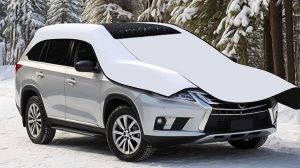 car windshield cover for snow